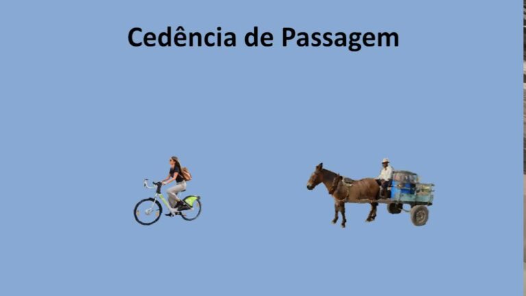 O Papel do Condutor de Veículo de Tração Animal na Mobilidade Sustentável