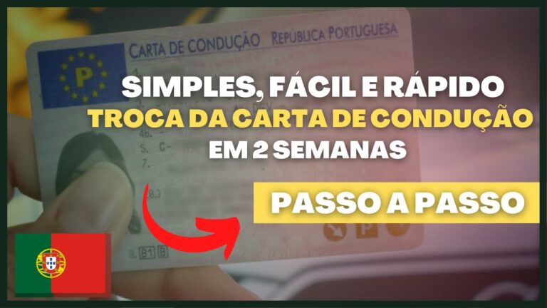 Guia completo sobre a Carta de Condu&ccedil;&atilde;o no Brasil
