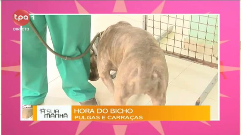 Os Mist&eacute;rios do Cara&ccedil;as Bicho: Curiosidades e Fatos Interessantes