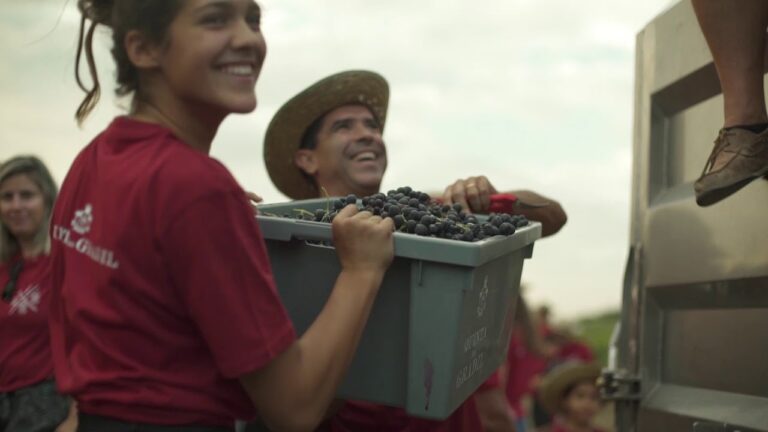Explorando a Abegoaria e a Quinta da Pena: Um Patrim&ocirc;nio Natural e Cultural
