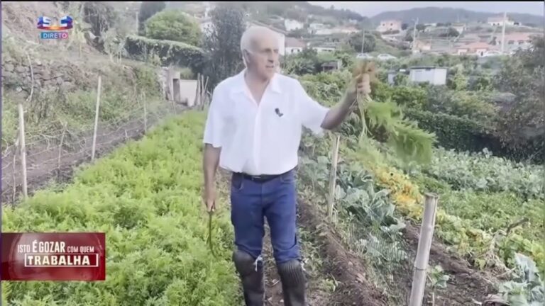 Produtos Horta Coelho Pereira: Qualidade e Sabor na Sua Mesa