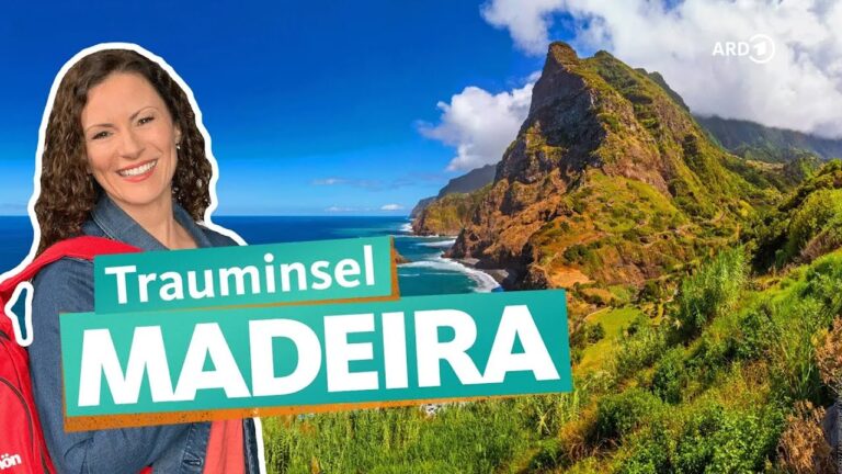 Uber em Madeira: Conforto e Mobilidade Eficiente