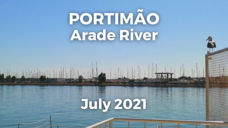 Revolu&ccedil;&atilde;o no Transporte: O Impacto do T&aacute;xi Arade